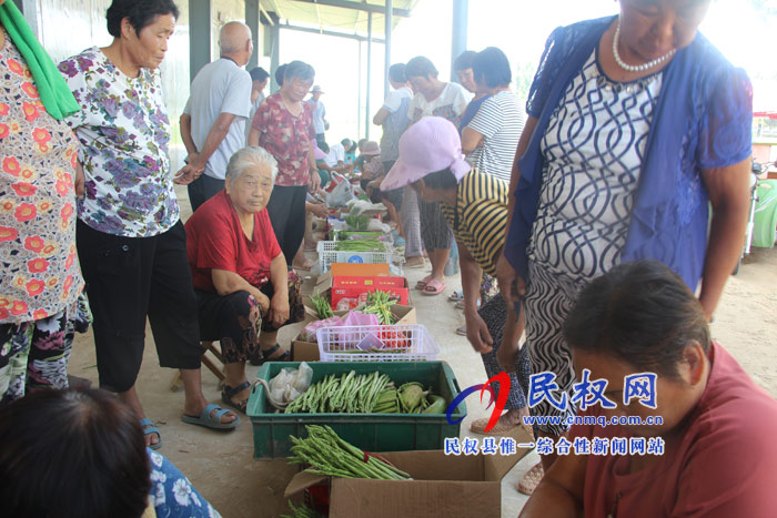 双塔镇大棚芦笋收购忙