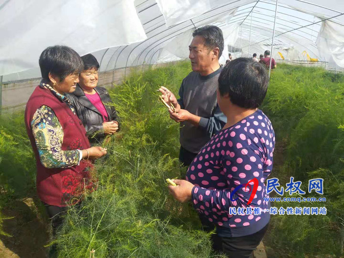 野岗镇积极组织贫困户到兄弟乡镇学习芦笋种植技术