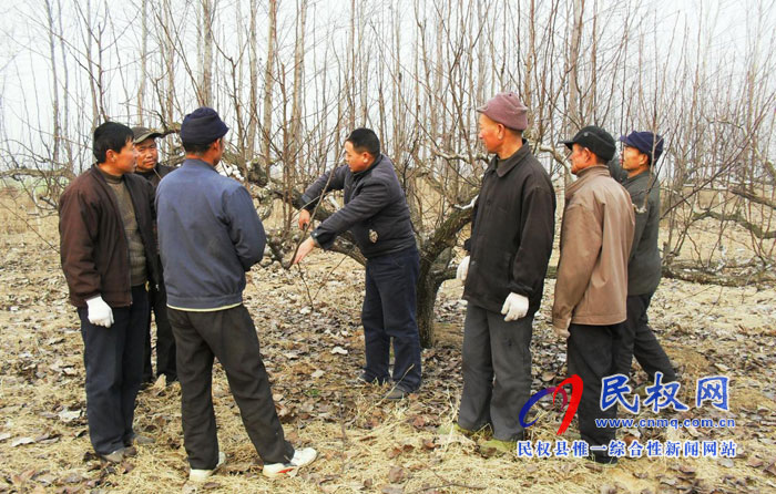 园艺站多措施预防果树“倒春寒”