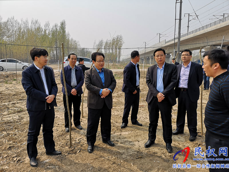 副市长张家明调研我县国土绿化提升和生态廊道建设进展况