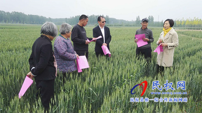 深入实际 服务三农---民权县农业农村局农技人员倾情服务在田间