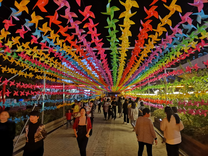 花园乡赵洪坡村“夜游模式”备受游客追捧