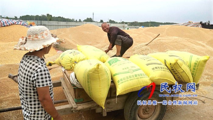 野岗镇夏粮收购站里售粮群众笑容甜