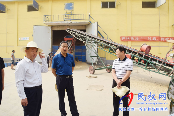 县领导锦传星基层调研夏粮收购情况