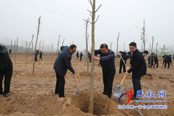 县领导参加冬季义务植树活动