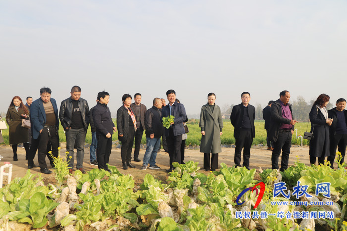 商丘市计生协生育关怀工作现场会在民权县白云寺镇召开