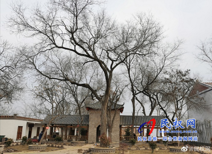 林七乡：做好人居环境整治 建设美丽宜居乡村