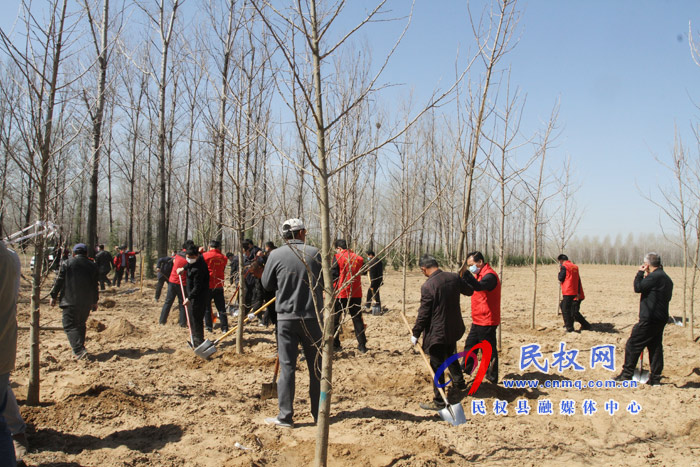 市人大常委会在民权国家森林公园举办民主法治生态建设主题植树活动