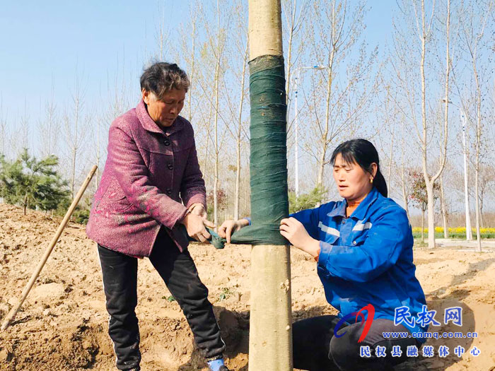 孙六镇共建绿色游园 打造宜居环境