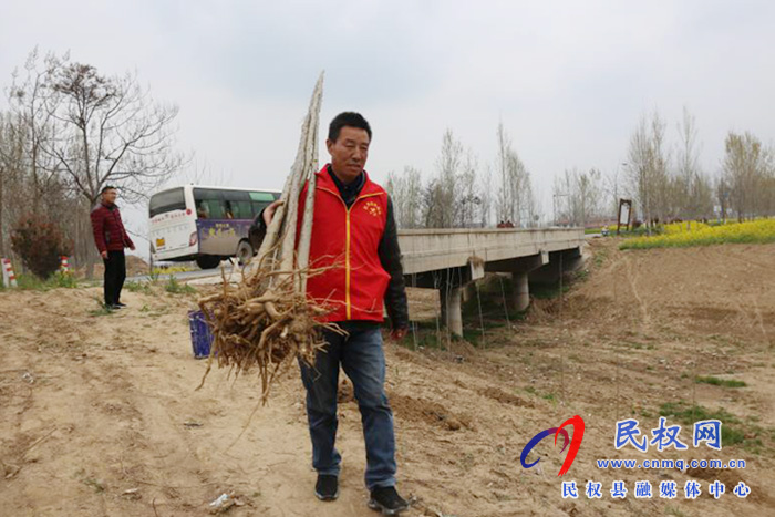 白云寺镇财政所开展义务植树活动