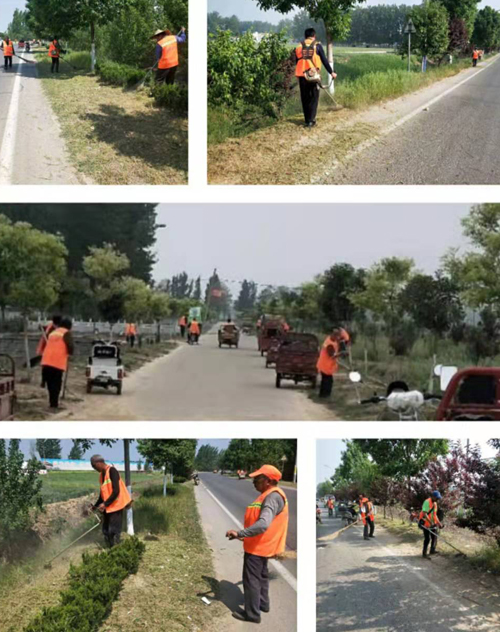 程庄镇：开展道路杂草和杂物清理专项整治活动