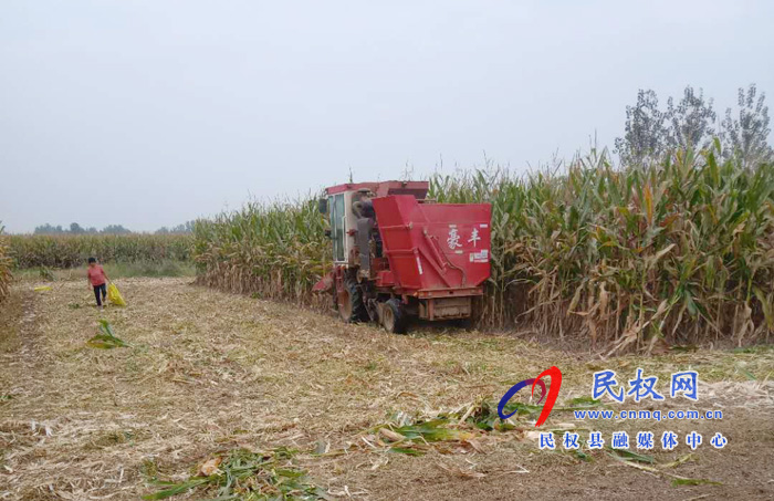 林七乡:让秸秆有了“用武之地”