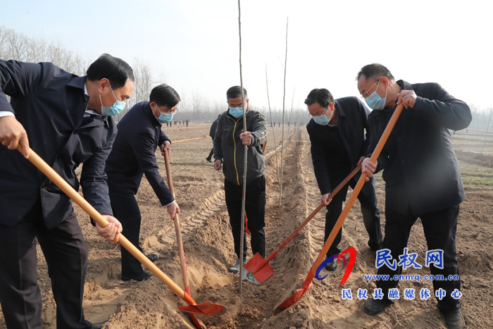 我县组织开展冬季义务植树活动