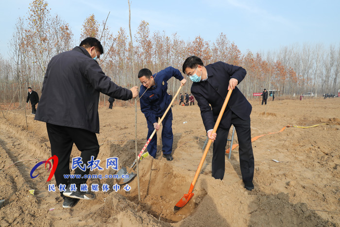 我县组织开展冬季义务植树活动