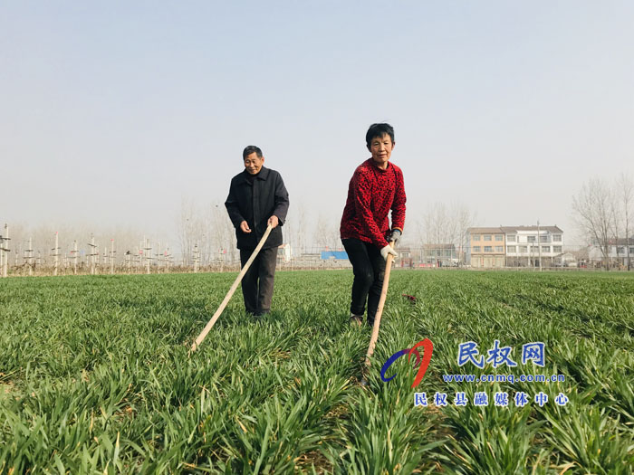 孙六镇：人勤春来早 春管正当时