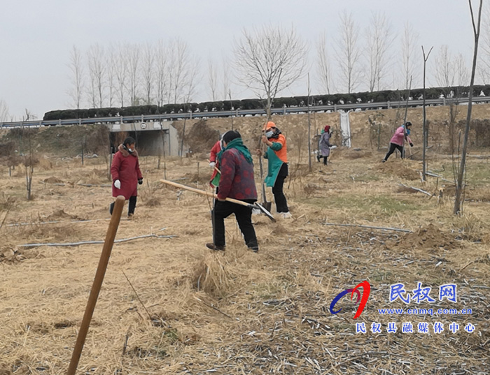 野岗镇：早春植好护路林 生态屏障一线绿