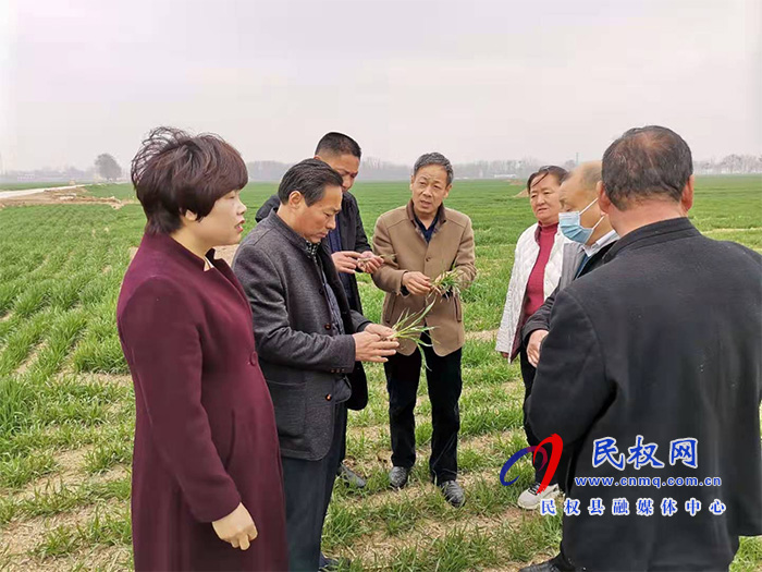 庄子镇举办优质专用小麦生产基地项目技术培训会