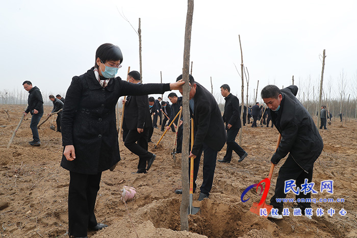 市县领导参加春季义务植树劳动