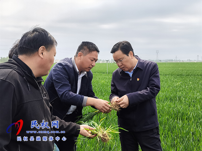 市人大常委会副主任、县委书记姬脉常察看春季农业生产及高标准粮田建设工作