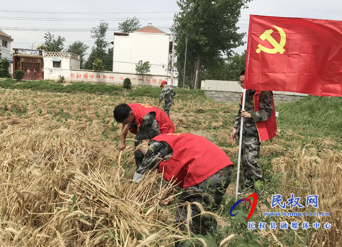 林七乡：办实事争先锋 志愿服务队活跃在田间地头