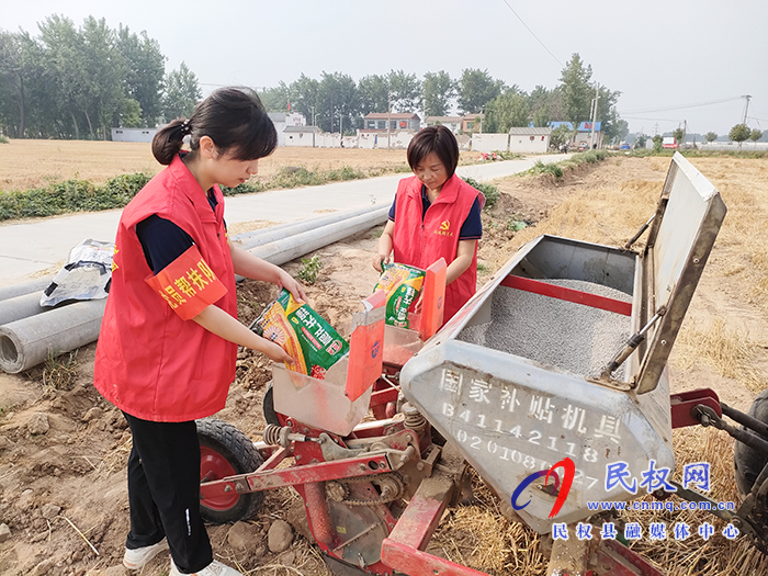 胡集乡：三夏服务在田间