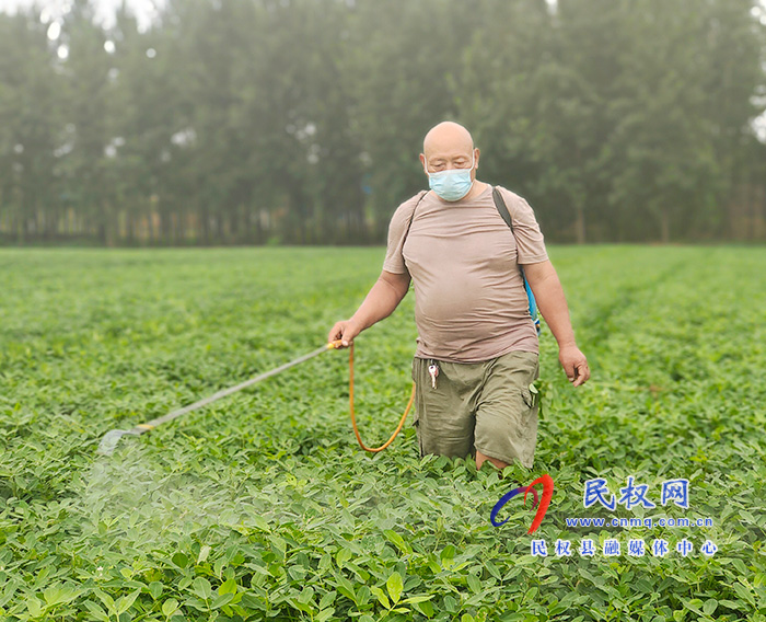 双塔镇：抓好田间管理 确保秋粮丰收