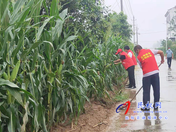 林七乡：党员帮扶群众雨后农田排涝