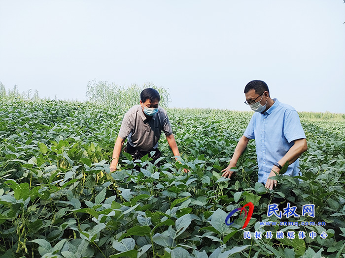 花园乡：积极开展秋作物后期管理