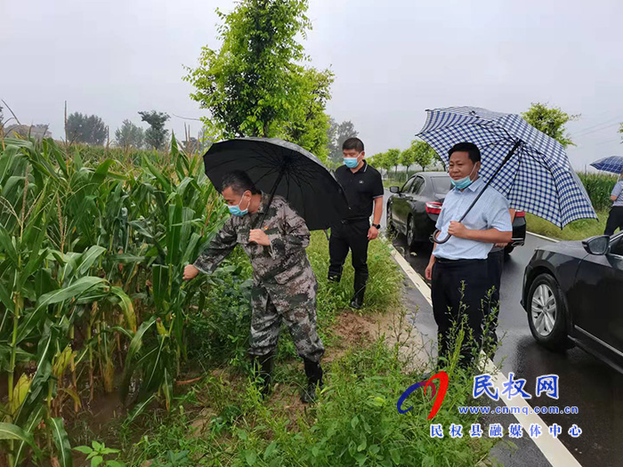 花园乡“党建+”模式搭建服务“连心桥”