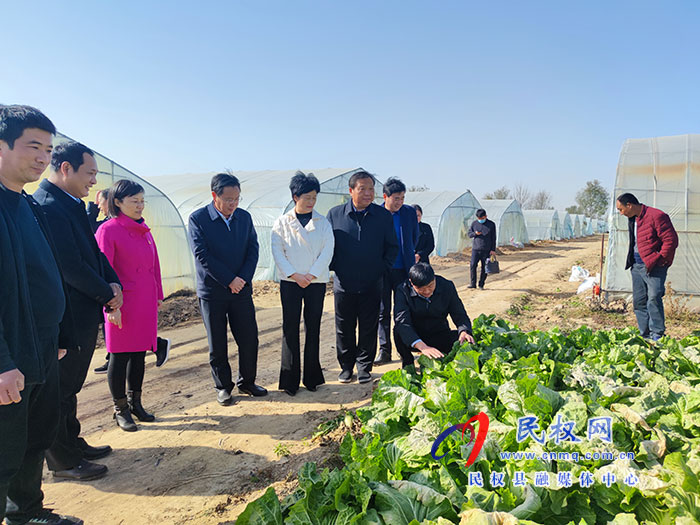 市人大常委会副主任、市总工会主席姬脉常到白云寺镇柏木岗村开展巩固脱贫成果“大排查大整改”活动