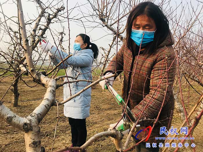 孙六镇：打好“组合拳”，护航春耕生产