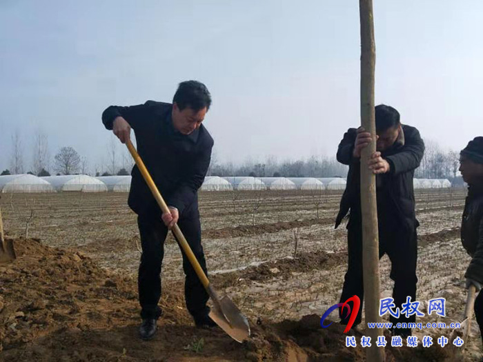 龙塘镇：春种“一棵树”  夏收一片林