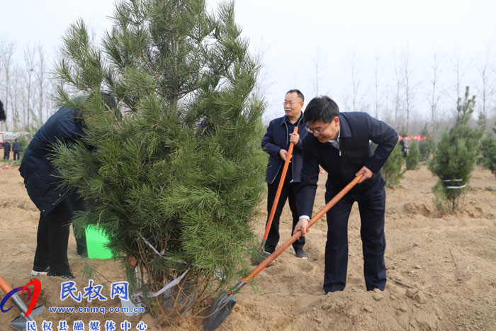 县四大家领导义务植树再添新绿