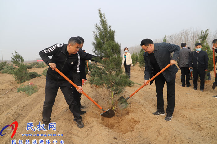 县四大家领导义务植树再添新绿