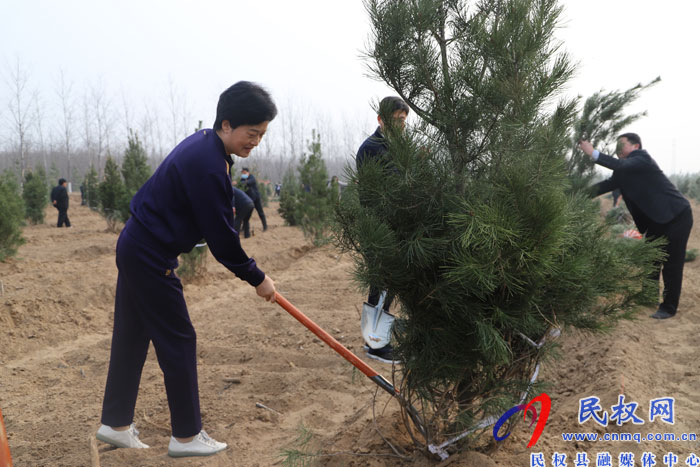 县四大家领导义务植树再添新绿