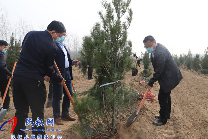 县四大家领导义务植树再添新绿