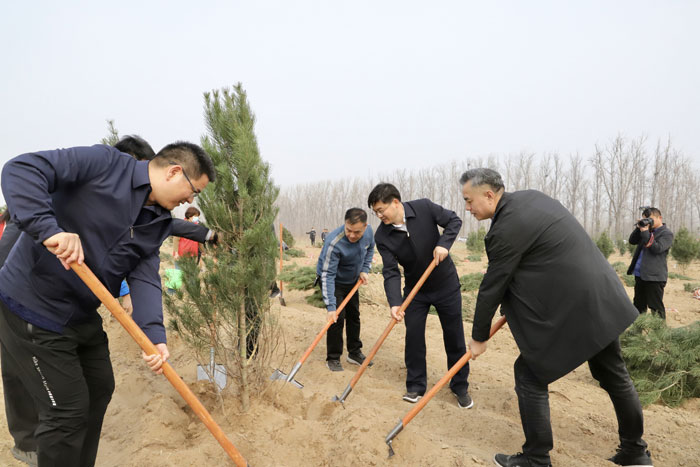 民权黄河故道添新绿，携手共植“党建幸福林”