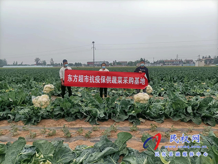 县东方超市抗疫保供助力乡村蔬菜销售