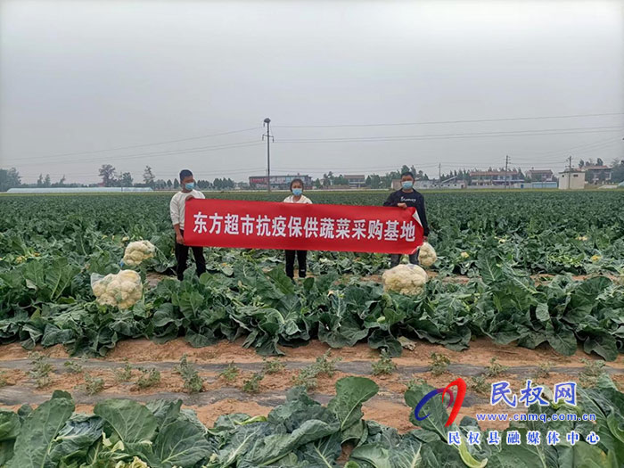 民权县市场监管局助力滞销农产品销售