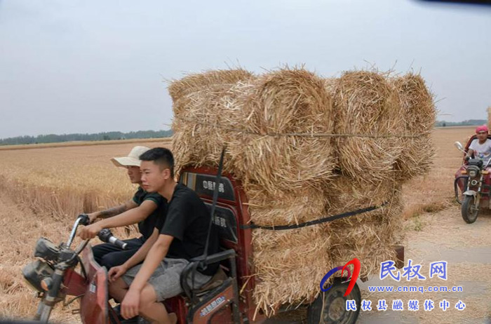 民权县人和镇：秸秆禁烧综合利用变废为宝