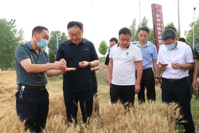 县委副书记栗团结查看夏收夏种和农村人居环境整治工作