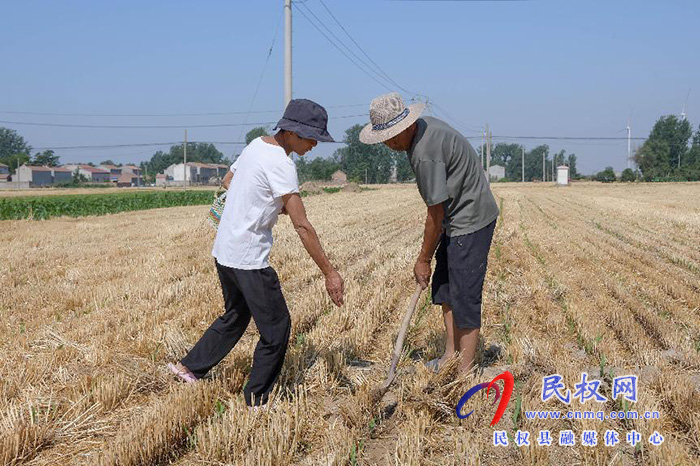 民权县人和镇迅速掀起抗旱抢种保苗高潮