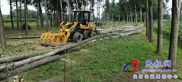 北关镇：对“非农化”“非粮化”耕地进行平整