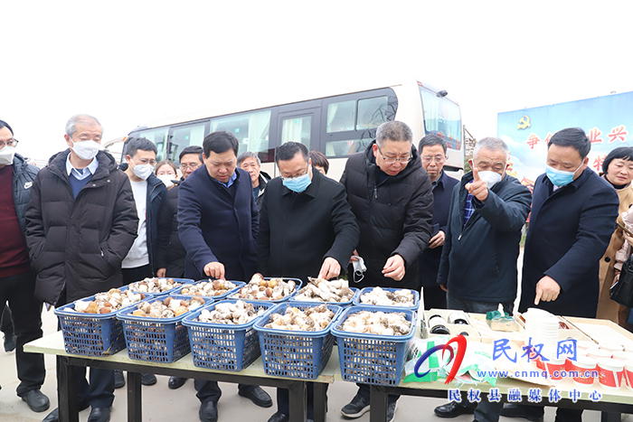 河南省第一次食用菌种质资源现场观摩暨普查培训班在民举行