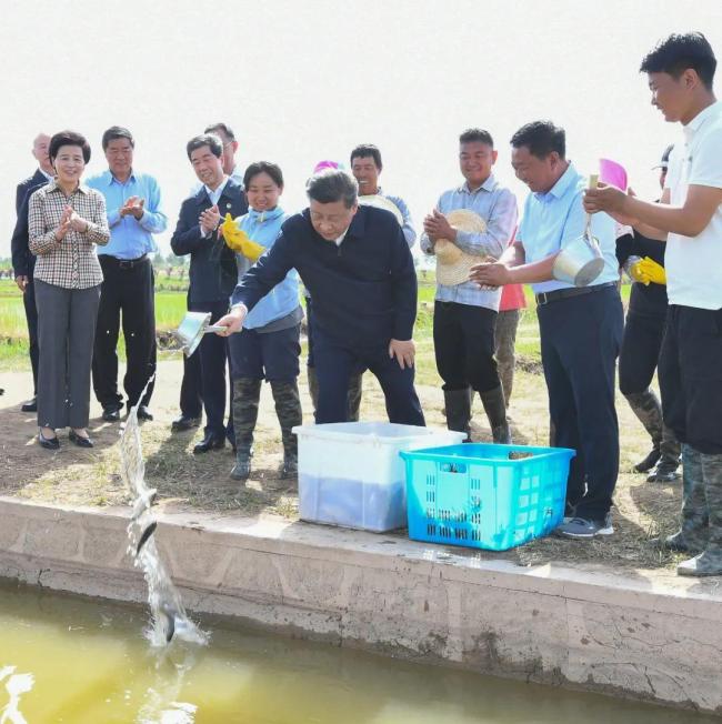 总书记的“大食物观”