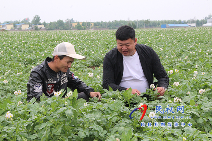 民权花园乡：发挥统战力量 促进产业兴旺