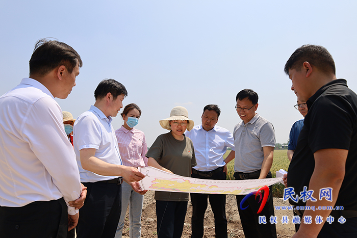 县委书记、县长王静娴调研麦田管理、高标建设及水利防汛并开展“巡河”工作