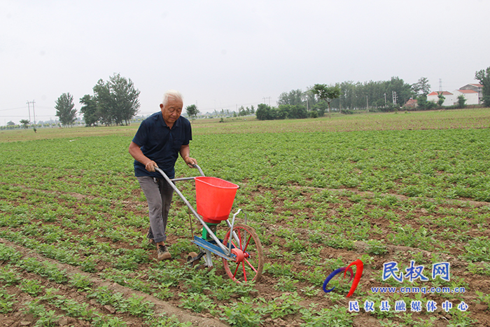 民权县花园乡：迅速掀起秋作物管理高潮