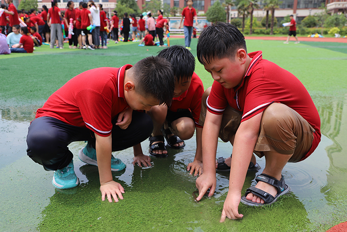 “悠悠艾香溢佳节 绵绵粽情润端午”——民权求实学校端午节主题教育活动