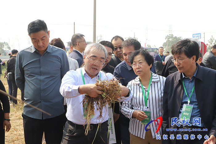 全国首届油莎豆科研成果转化暨产业发展会议召开